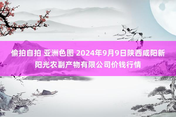 偷拍自拍 亚洲色图 2024年9月9日陕西咸阳新阳光农副产物有限公司价钱行情