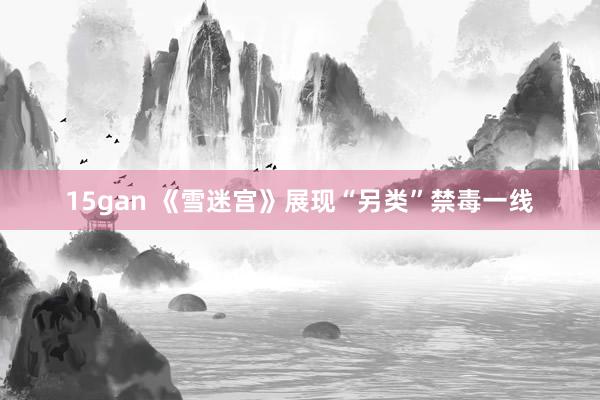 15gan 《雪迷宫》展现“另类”禁毒一线