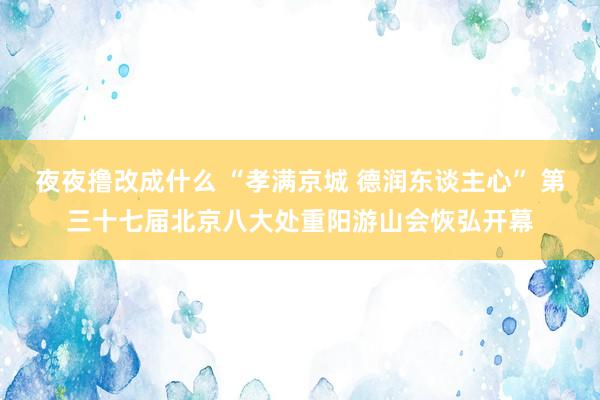 夜夜撸改成什么 “孝满京城 德润东谈主心” 第三十七届北京八大处重阳游山会恢弘开幕