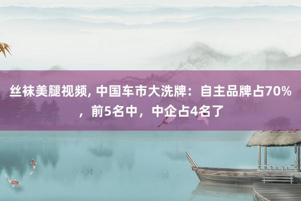 丝袜美腿视频， 中国车市大洗牌：自主品牌占70%，前5名中，中企占4名了