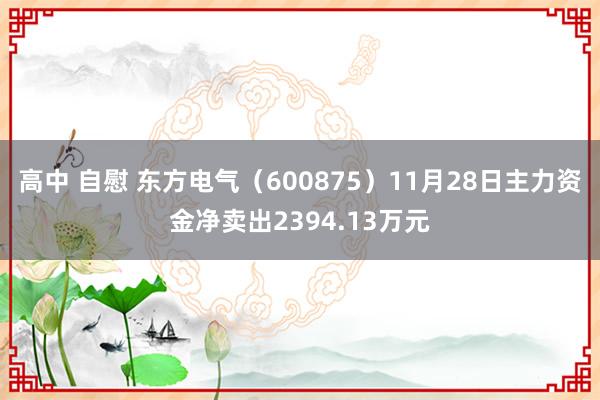 高中 自慰 东方电气（600875）11月28日主力资金净卖出2394.13万元