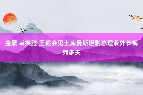 金晨 ai换脸 王毅会见土库曼斯坦副总理兼外长梅列多夫