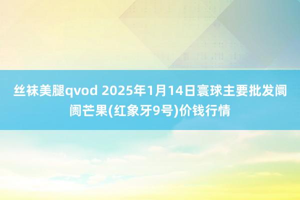 丝袜美腿qvod 2025年1月14日寰球主要批发阛阓芒果(红象牙9号)价钱行情